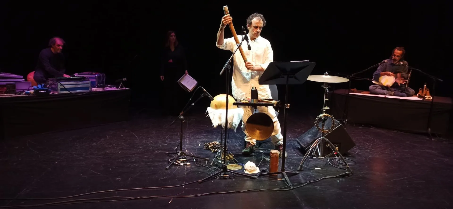Concierto Fusión Tartessos (2018), obra de Miguel Romero Esteo — fotografía de la producción teatral de Teatro del Gato, compañía de teatro contemporáneo en Málaga (imagen 1 de 2)